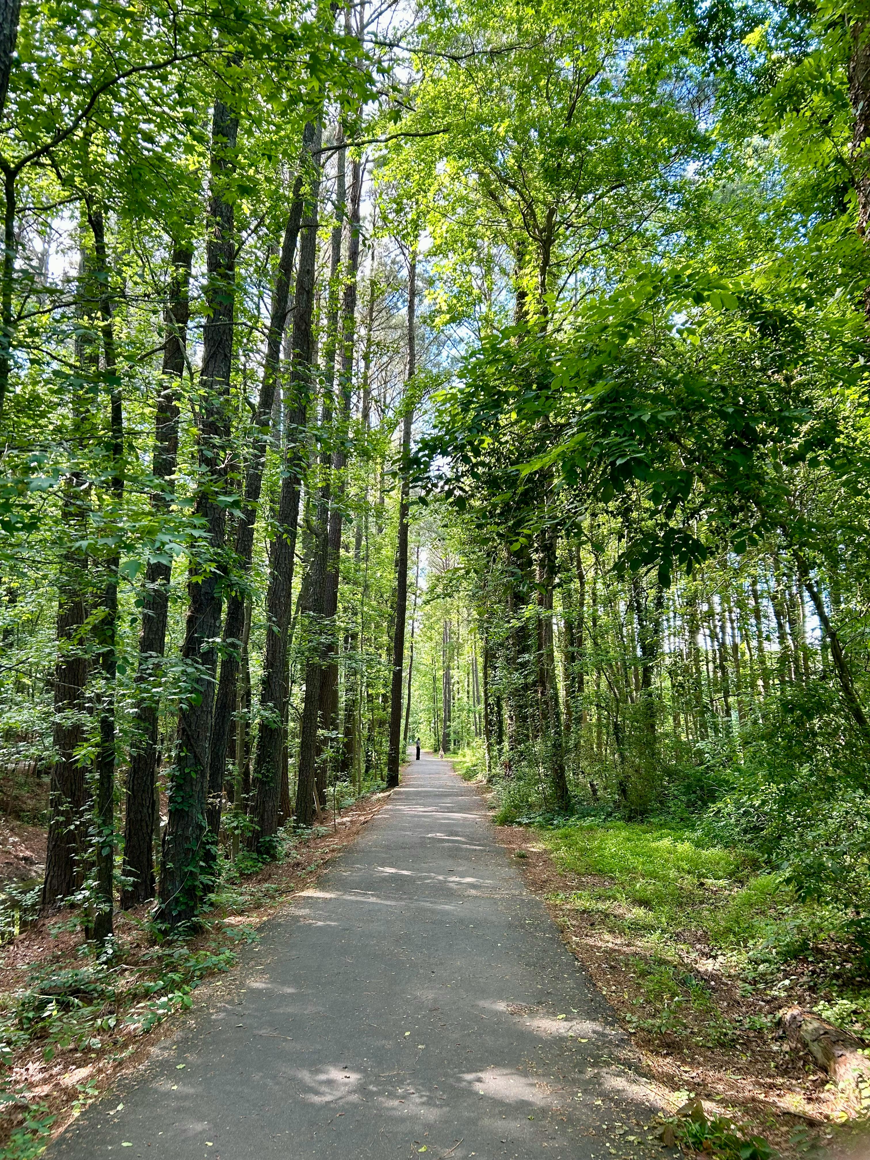 Walking Trail in Valley Park