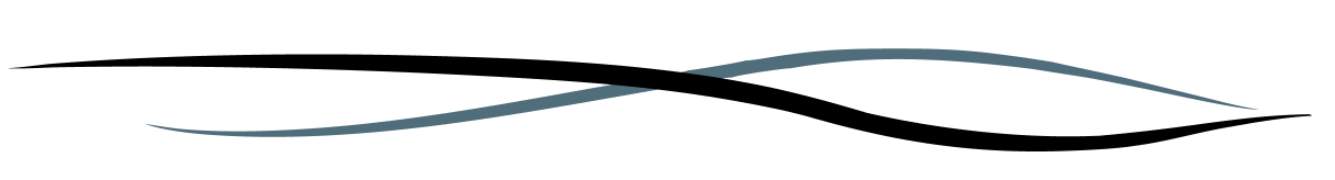 image element