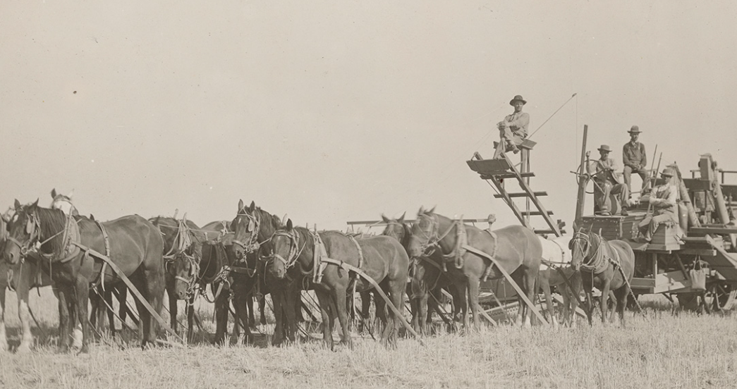 image element