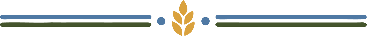 image element