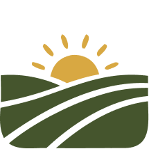 image element
