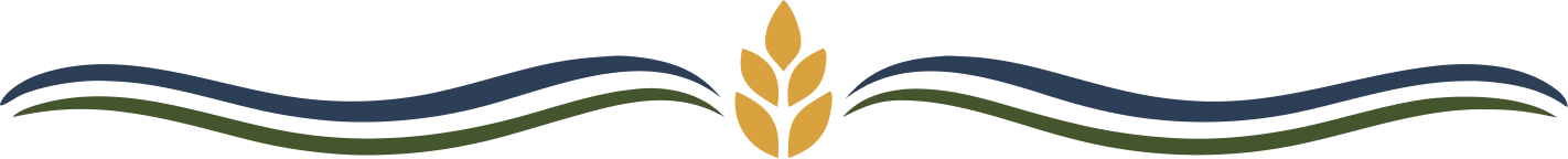 image element
